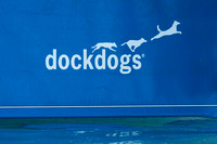FlyingDogs